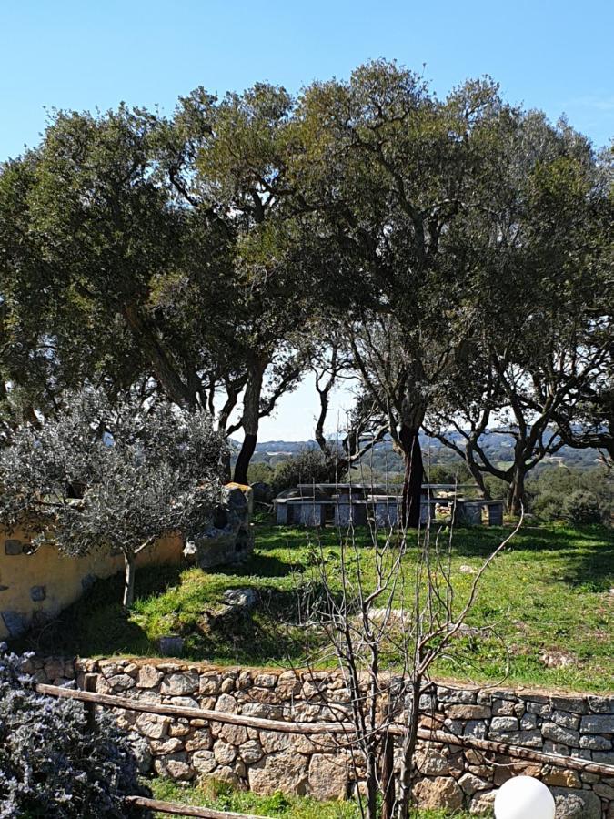 Cantina Perandria Monti Esterno foto