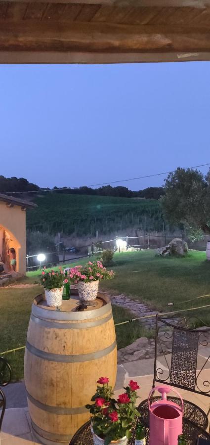 Cantina Perandria Monti Esterno foto